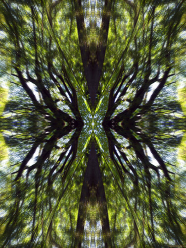 Forest Abstract 2