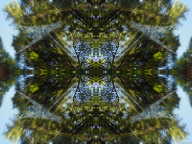 Forest Abstract 3