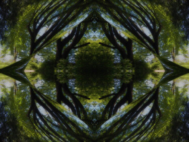 Forest Abstract 6