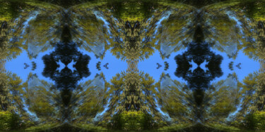 Forest Abstract 8