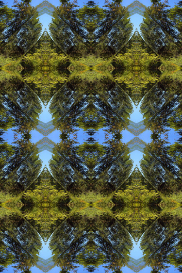 Forest Abstract 9