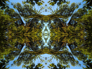 Forest Abstract 13