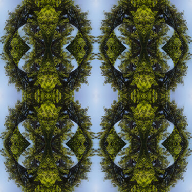 Forest Abstract 14