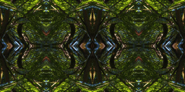 Forest Abstract 16