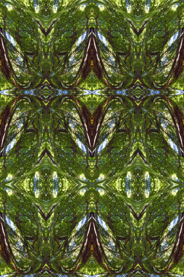 Forest Abstract 17