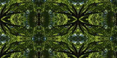 Forest Abstract 18