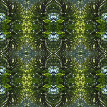 Forest Abstract 21