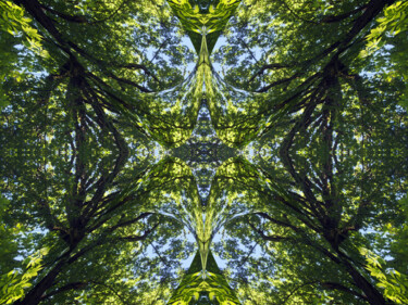 Forest Abstract 22