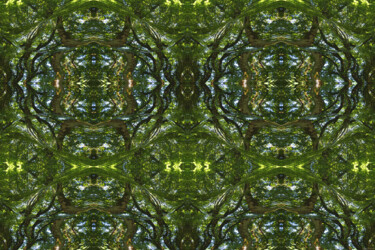 Forest Abstract 26