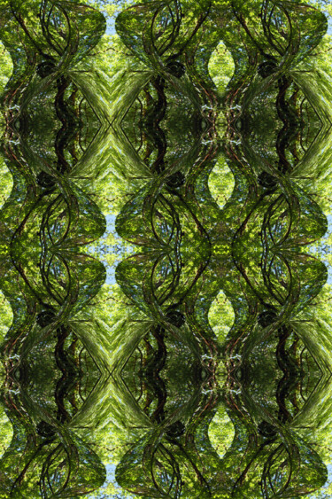 Forest Abstract 27