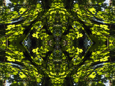 Forest Abstract 30