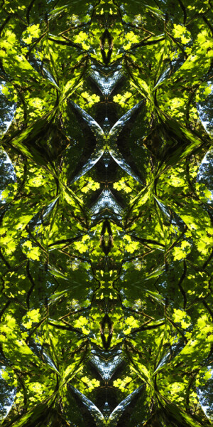 Forest Abstract 31