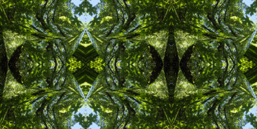 Forest Abstract 33