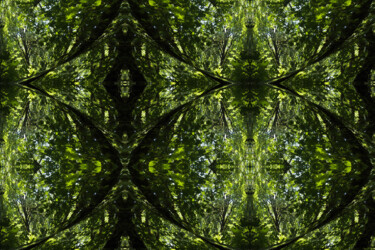 Forest Abstract 35