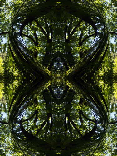 Forest Abstract 36