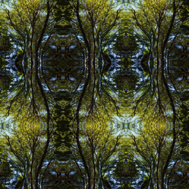 Forest Abstract 37