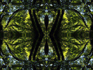 Forest Abstract 38