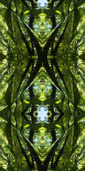 Forest Abstract 39