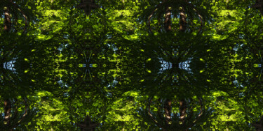 Forest Abstract 40