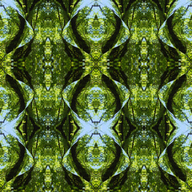 Forest Abstract 43