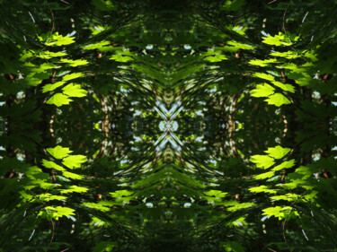 Forest Abstract 44