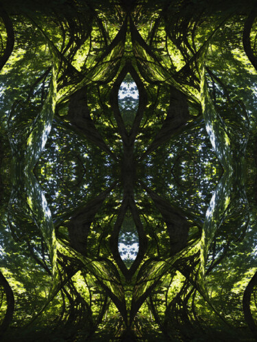 Forest Abstract 45