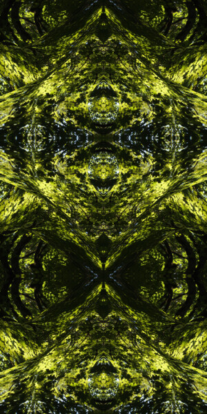 Forest Abstract 47