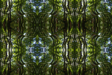 Forest Abstract 48