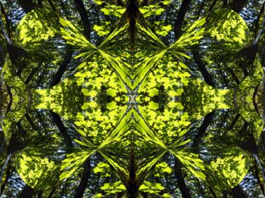 Forest Abstract 51