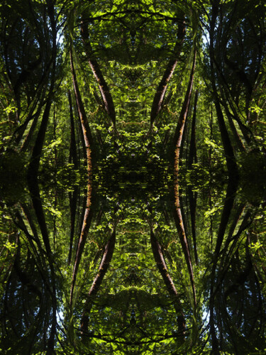 Forest Abstract 52