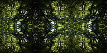 Forest Abstract 53