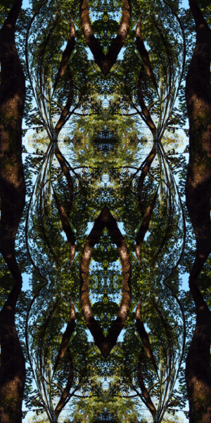 Forest Abstract 54