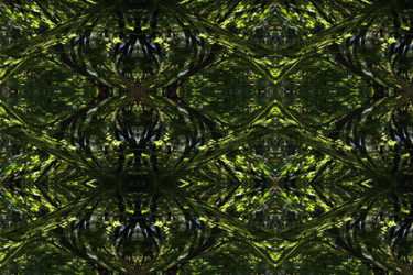 Forest Abstract 55