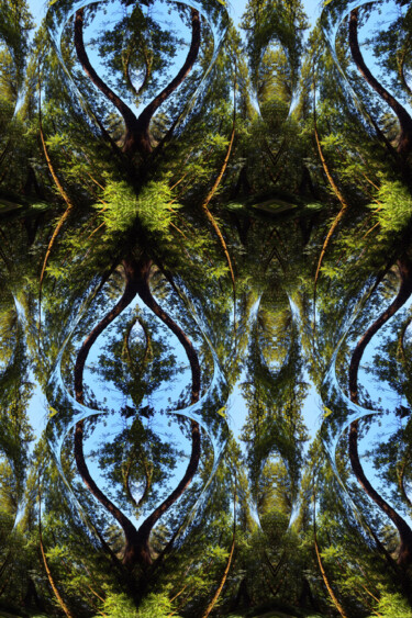 Forest Abstract 56