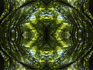 Forest Abstract 58