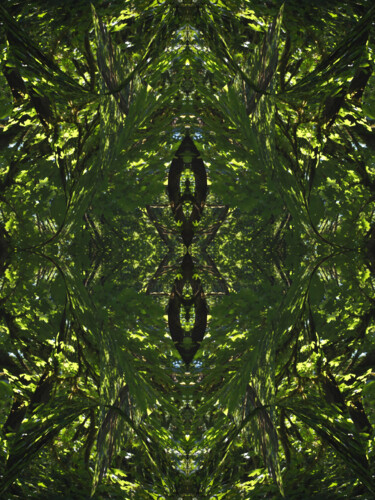 Forest Abstract 59