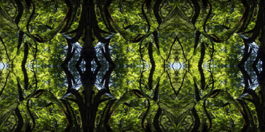 Forest Abstract 60