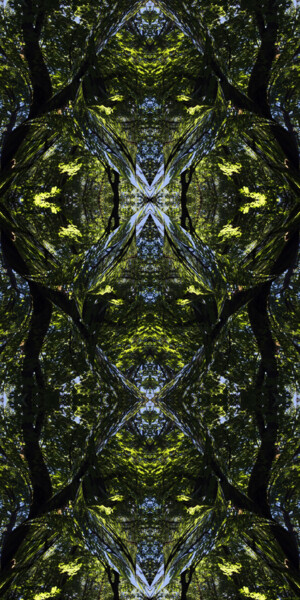 Forest Abstract 61