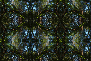 Forest Abstract 62