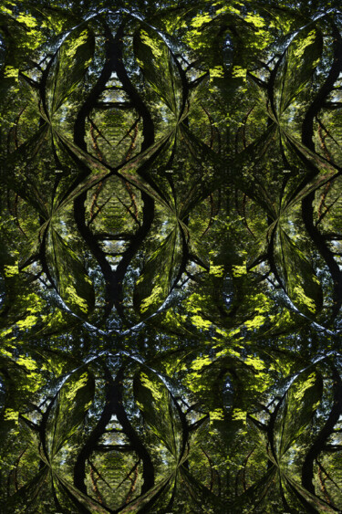 Forest Abstract 63