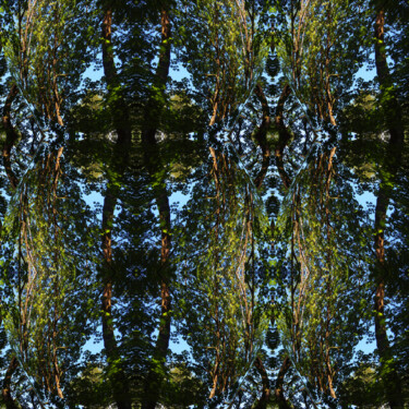 Forest Abstract 64