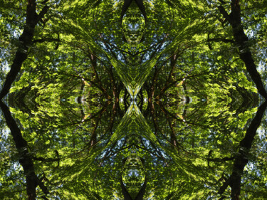 Forest Abstract 65