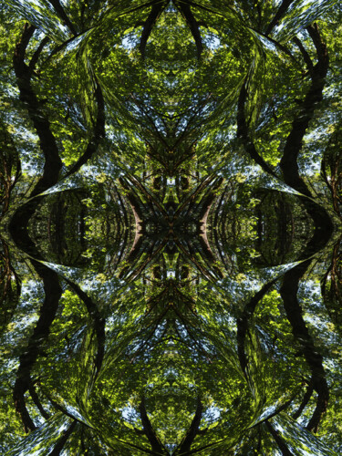 Forest Abstract 66