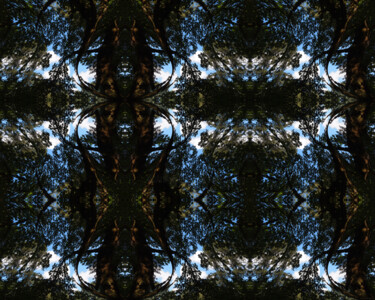 Forest Abstract 67