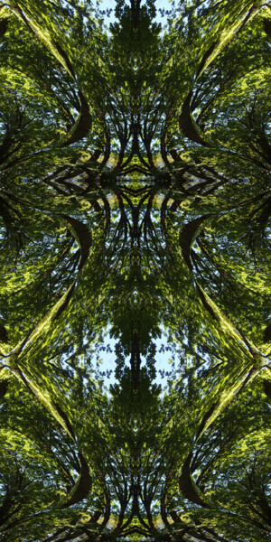 Forest Abstract 70