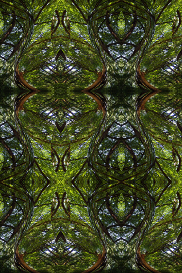 Forest Abstract 72