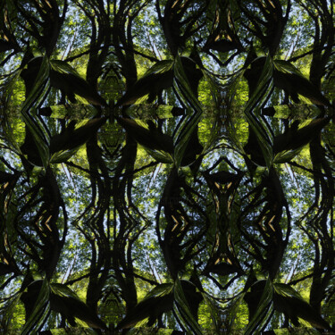 Forest Abstract 73