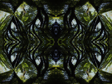 Forest Abstract 74