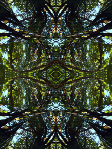 Forest Abstract 75