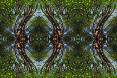 Forest Abstract 76